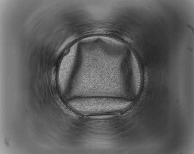 X0000100861450200807111241