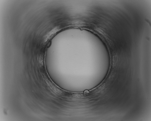 X0000100861451200807111241