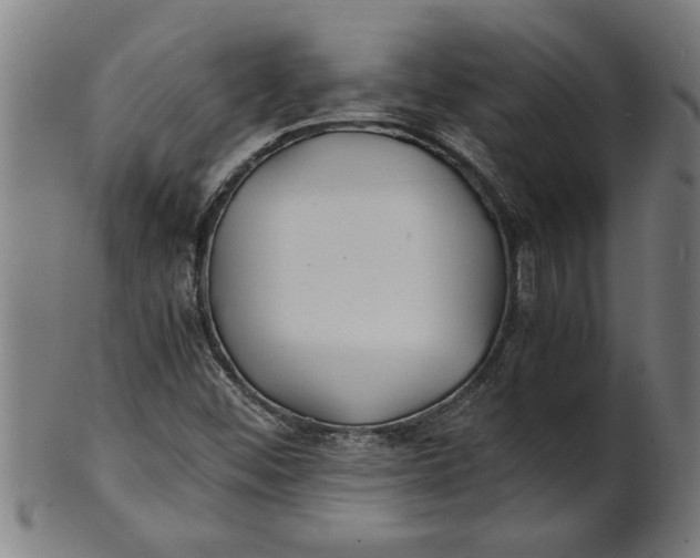 X0000100861452200807111241