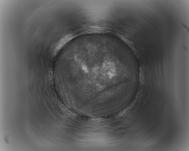 X0000100861453200807111241