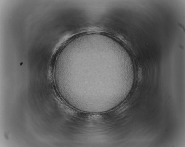 X0000100861454200807111241