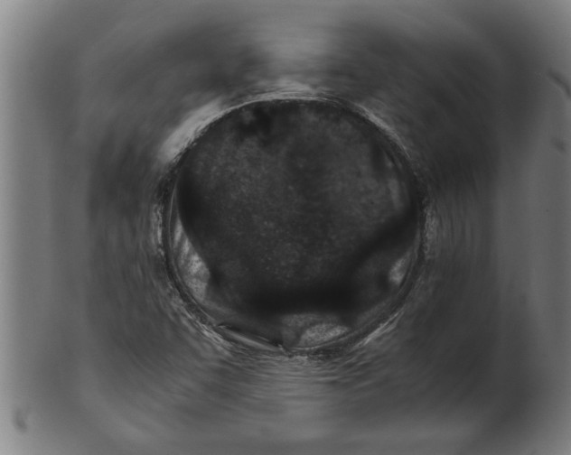 X0000100861455200807111241