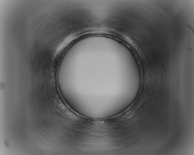 X0000100861456200807111241