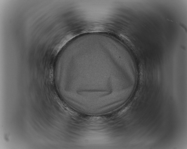 X0000100861457200807111241