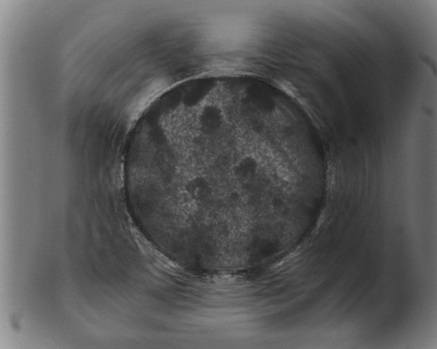 X0000100861459200807111241