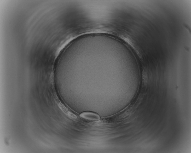 X0000100861460200807111241