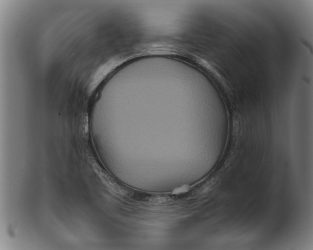 X0000100861461200807111241