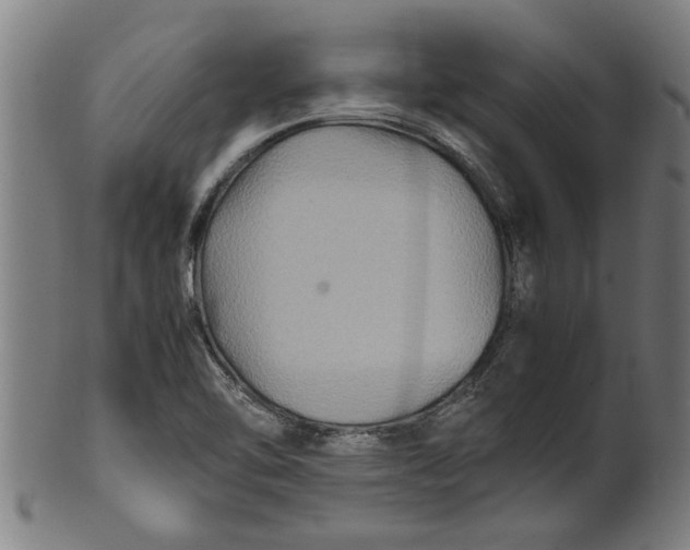 X0000100861462200807111241