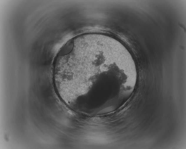 X0000100861463200807111241