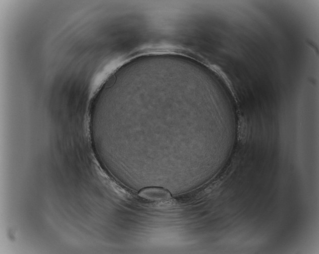 X0000100861464200807111241