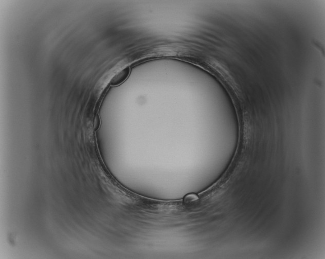 X0000100861465200807111241