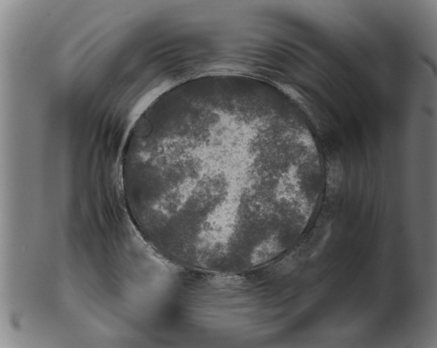 X0000100861466200807111241