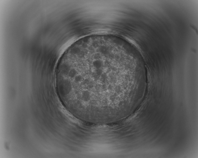 X0000100861467200807111241