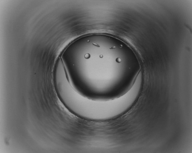 X0000100861468200807111241