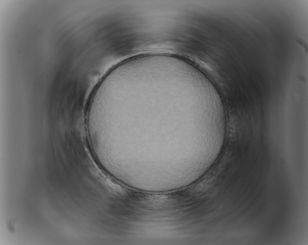 X0000100861470200807111241