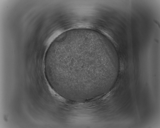 X0000100861471200807111241