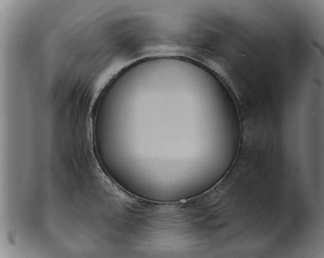 X0000100861472200807111241