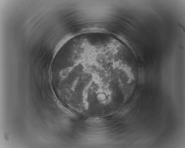 X0000100861474200807111241