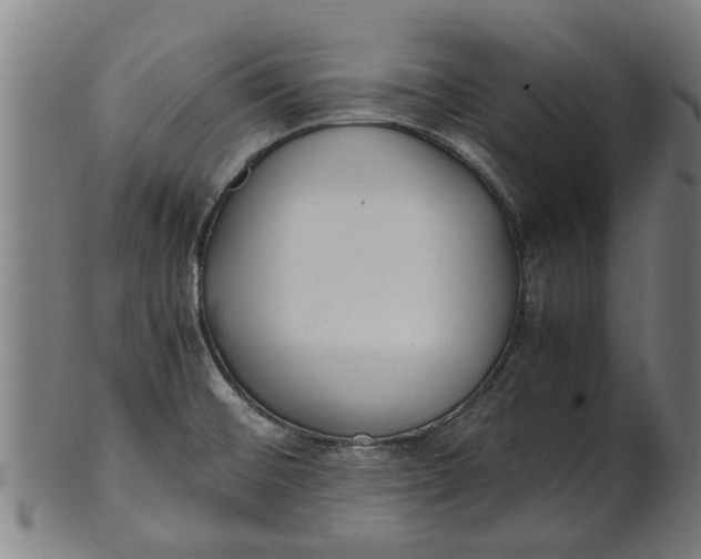 X0000100861476200807111241