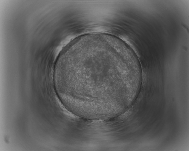 X0000100861477200807111241