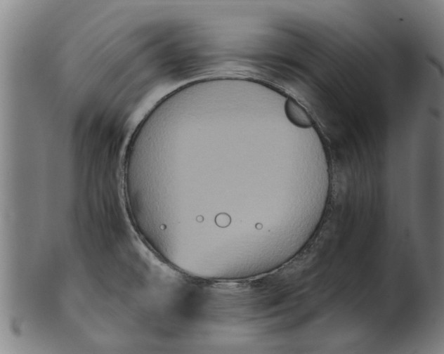 X0000100861478200807111241