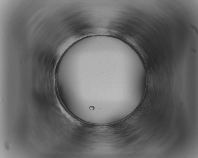 X0000100861479200807111241