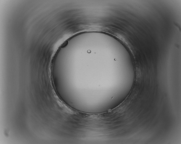 X0000100861480200807111241