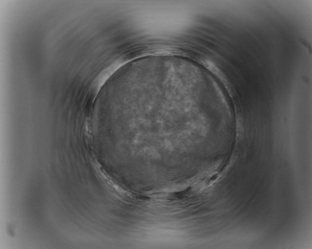 X0000100861481200807111241