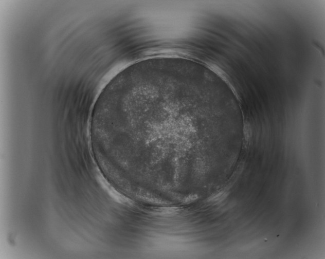 X0000100861482200807111241