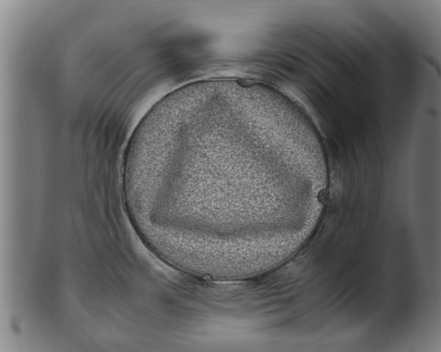 X0000100861483200807111241