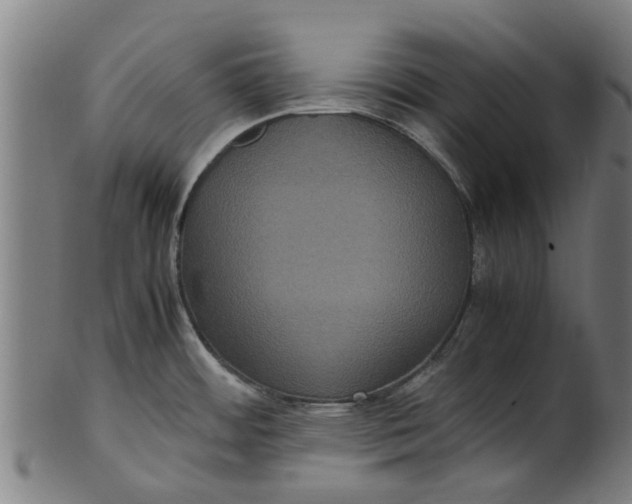 X0000100861484200807111241