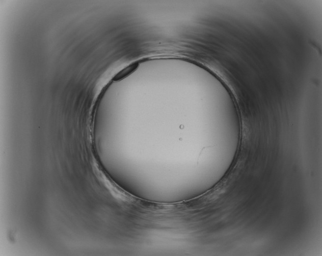 X0000100861485200807111241