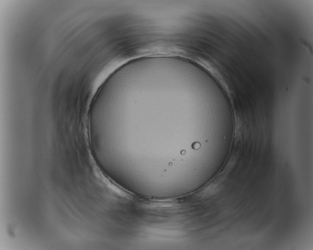 X0000100861486200807111241