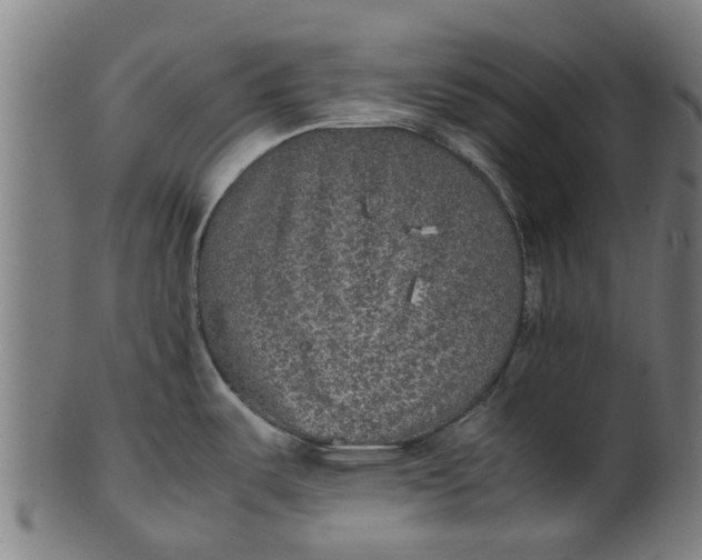 X0000100861487200807111241