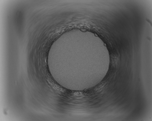 X0000100861489200807111240