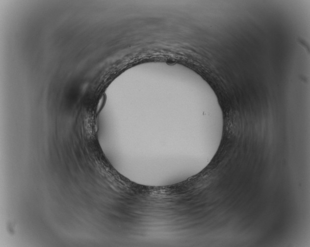 X0000100861490200807111240