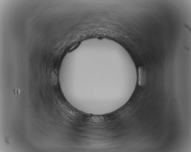 X0000100861491200807111240