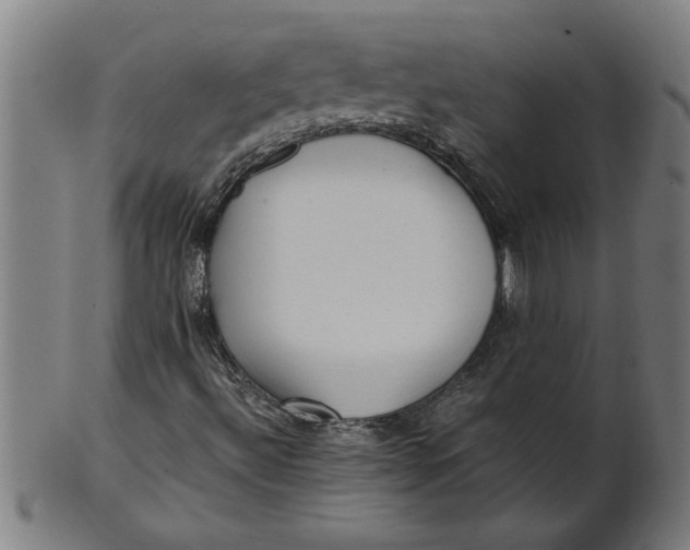 X0000100861492200807111240