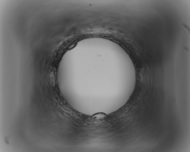 X0000100861493200807111240