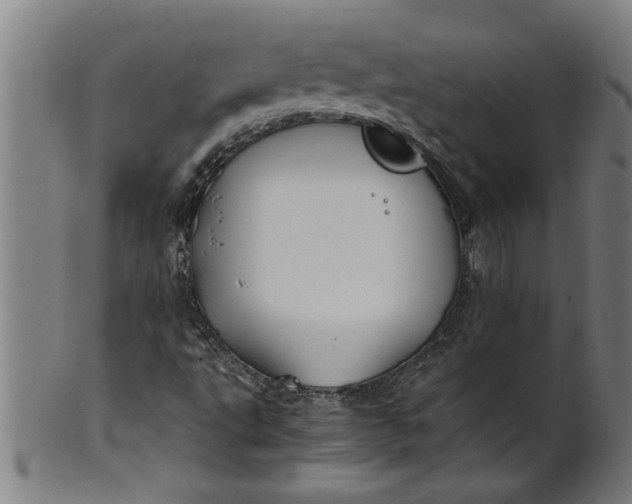 X0000100861495200807111240