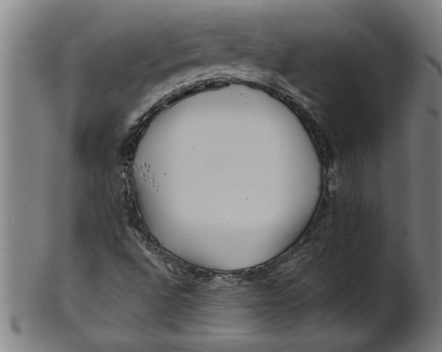 X0000100861496200807111240