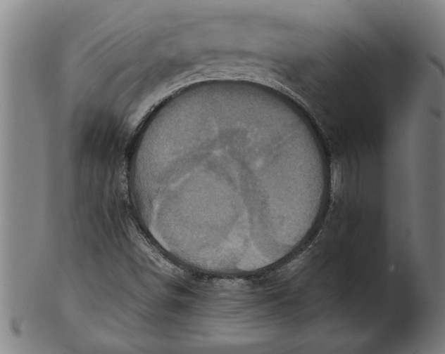 X0000100861498200807111240