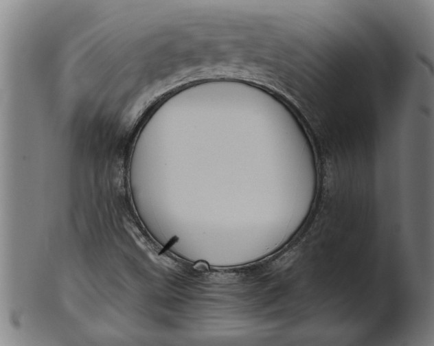 X0000100861499200807111240