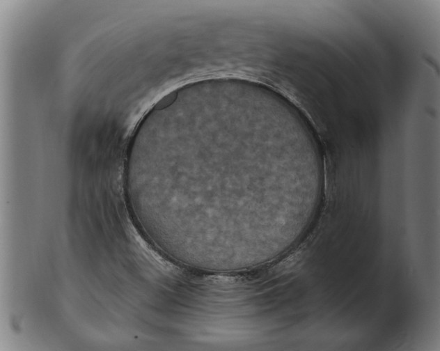 X0000100861500200807111240