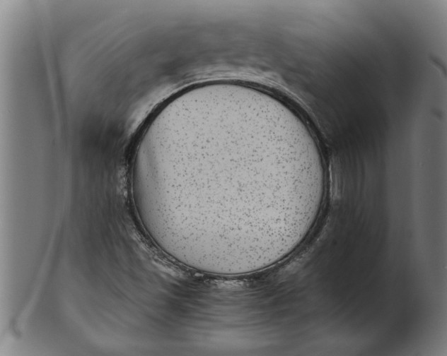 X0000100861501200807111240