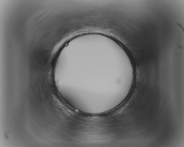 X0000100861502200807111240