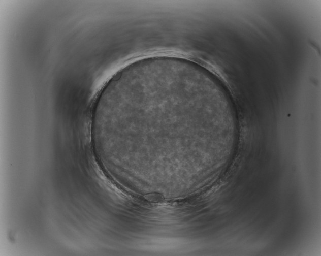 X0000100861504200807111240