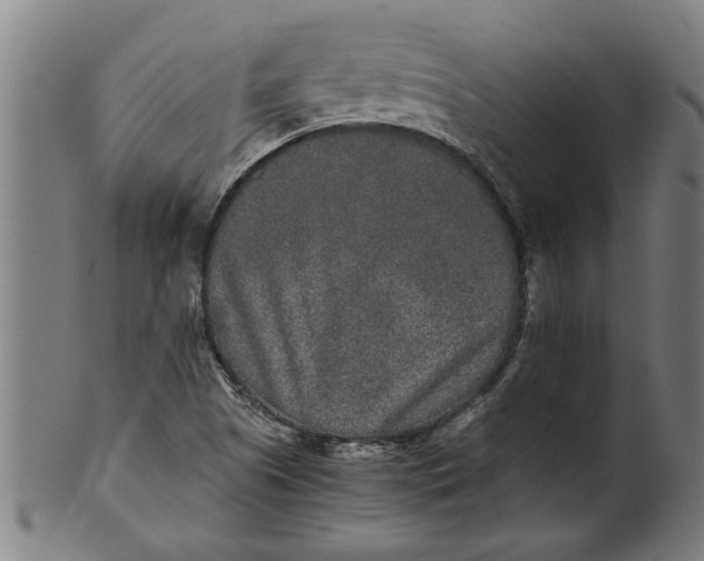 X0000100861505200807111240