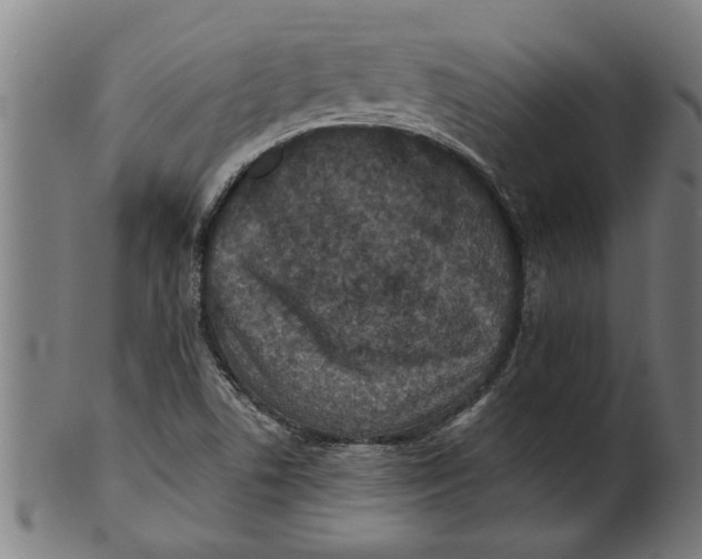 X0000100861506200807111240