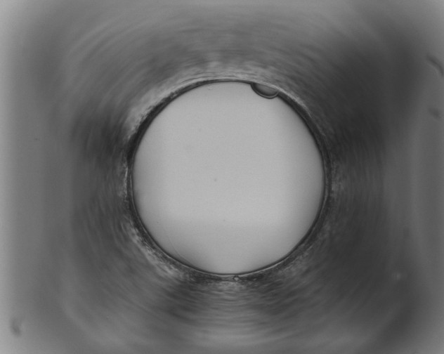 X0000100861507200807111240